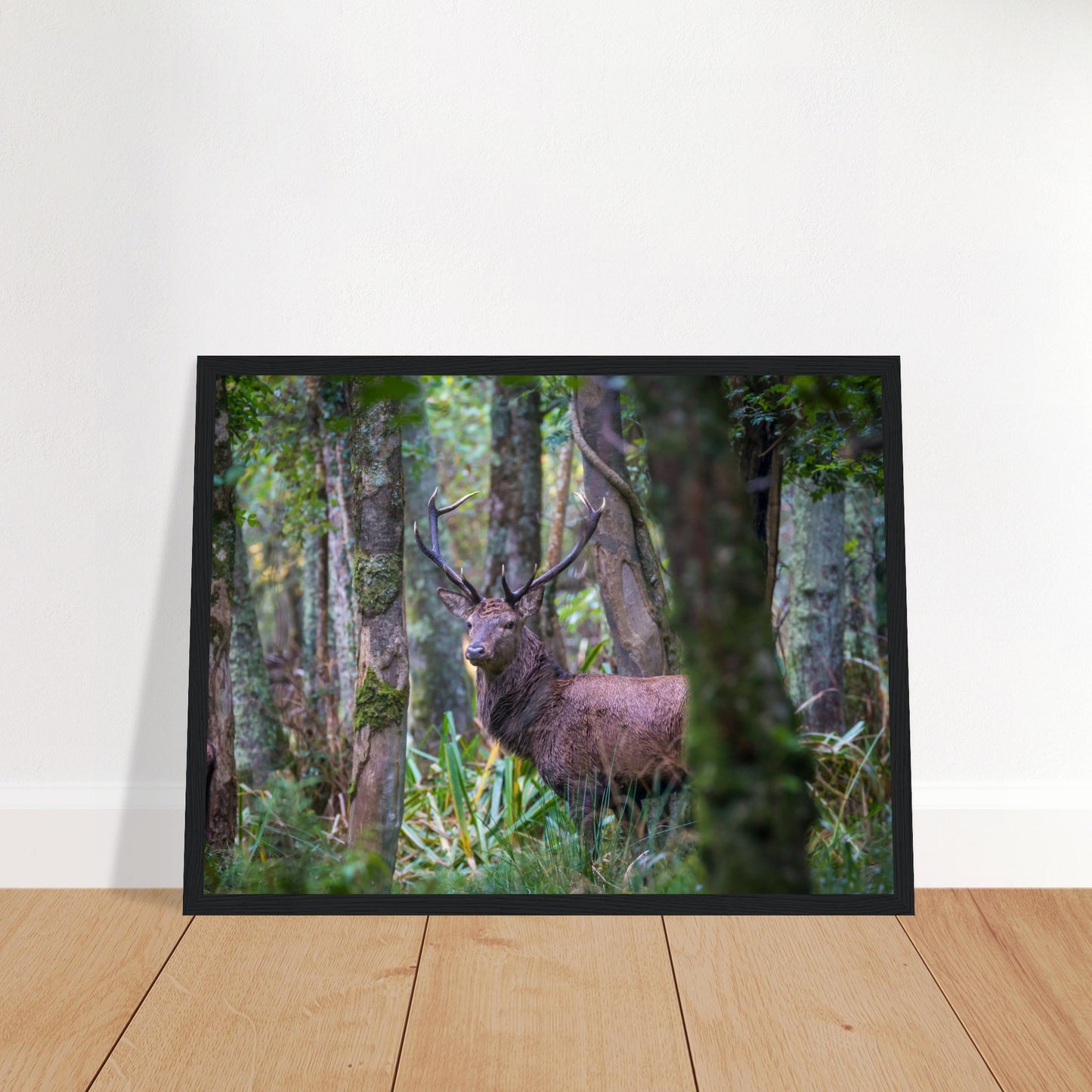Irish Red Deer Photographic Print – view 10 | Buy Irish Art