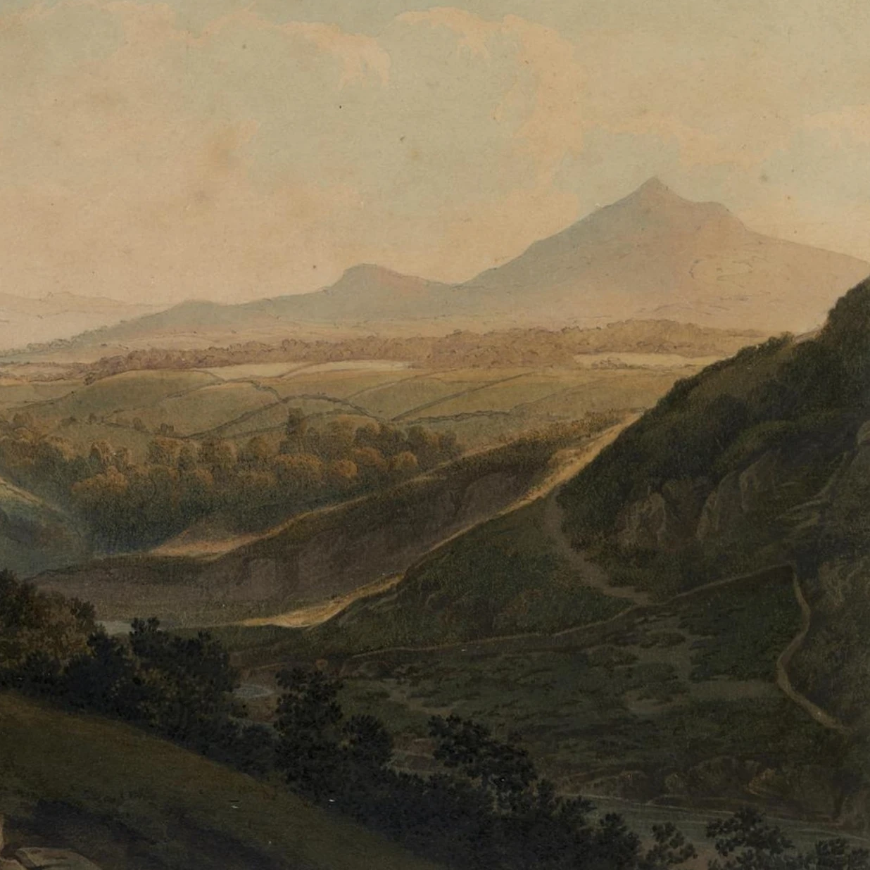 Henry Newton