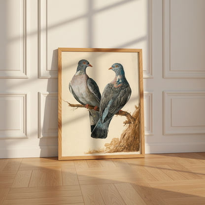 Two Wood Pigeons – Charles Collins | Irish Art Print