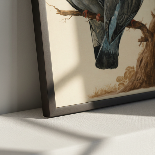Two Wood Pigeons – Charles Collins | Irish Art Print