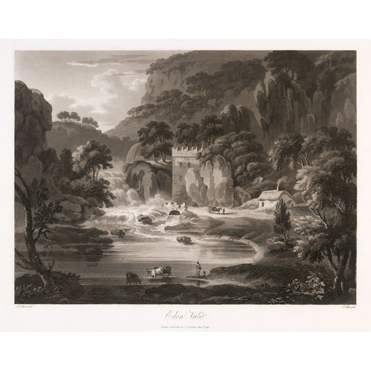Eden Vale waterfall and tower, 1799 aquatint by Thomas Sautelle Roberts, engraved by Samuel Alken - vintage Irish art print